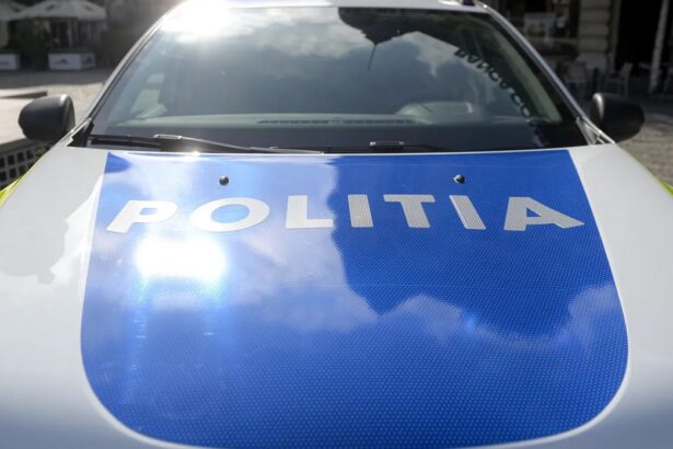 un politist local din sectorul 1 a murit dupa ce s a aruncat de pe o macara 6941679838f8d