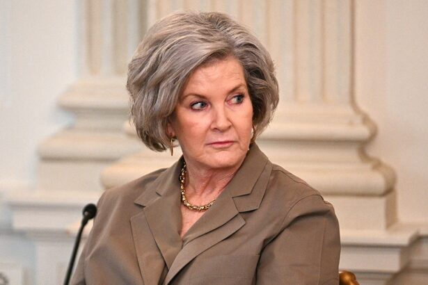 vanity fairs susie wiles profile fuels right wing uproar towards white house for giving access to liberal mag 694295d5606ef