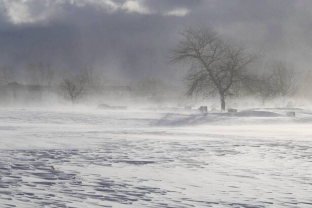 Vreme severă în România cu avertizări cod galben și cod portocaliu de viscol, vânt puternic și ninsori, valabile până pe 29 decembrie