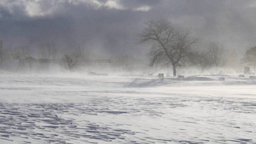 Vreme severă în România cu avertizări cod galben și cod portocaliu de viscol, vânt puternic și ninsori, valabile până pe 29 decembrie