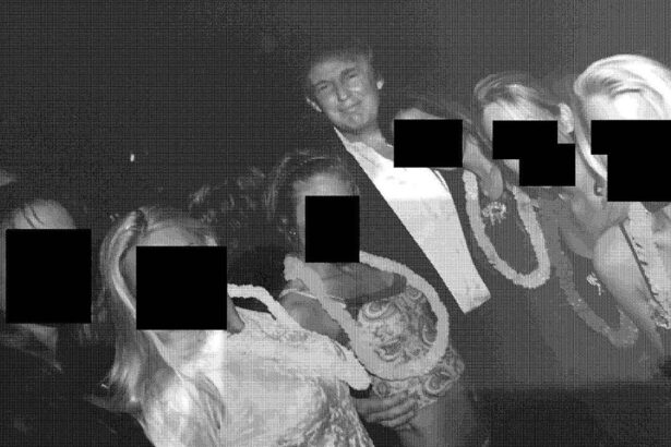 white house slams house dems releasing epstein photos showing trump clinton woody allen 693c6d858cc0f