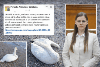 ChatGPT Image 6 ian. 2026 12 18 15