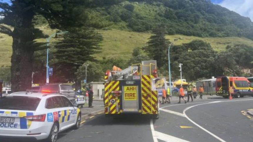 alunecarile de teren din noua zeelanda au lovit o zona de camping dar si o casa autoritatile incearca sa salveze victimele 6971cefa1bc01