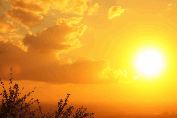 anm 2025 al patrulea cel mai cald an din istoria romaniei cu canicula seceta si fenomene extreme 696a0f308cc1b