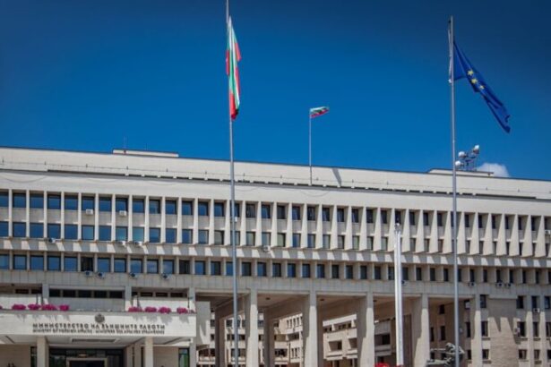 bulgaria sustine planul sua pentru pace in gaza si se ofera sa contribuie 696d9d9826cd9