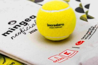 cand performanta inseamna acces mingea neoficiala la transylvania open 697d9d560f931