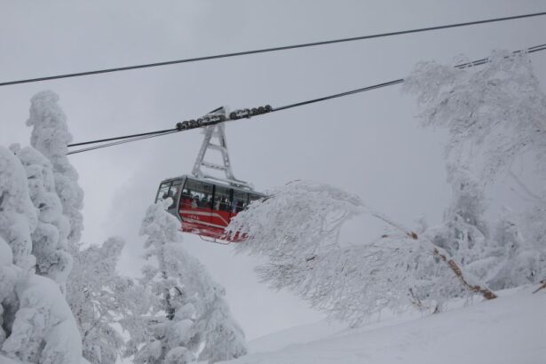 cea mai inzapezita tara din lume zapada e mai inalta decat casele 697c6e829404e
