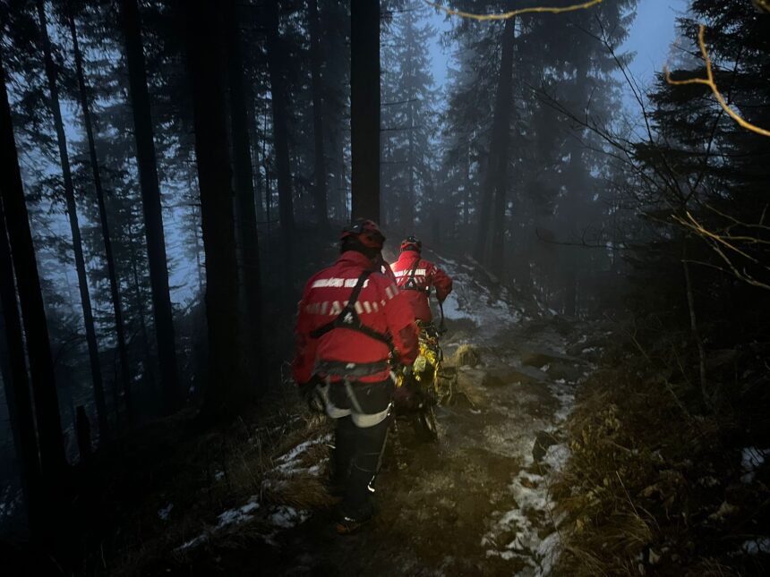 copiii din valcea care s au ratacit in padure in apropierea partiei de schi au fost gasiti 69627df39089d