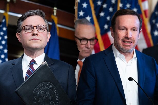 dhs funding threatened as congress rolls out 80b spending bill amid shutdown fears 69650b7bcd31b