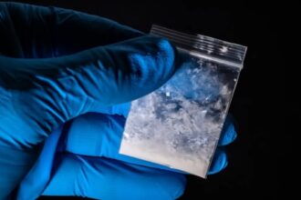 doi barbati din gorj arestati pentru trafic de droguri unul dintre ei era proxenet 695e4da381b19