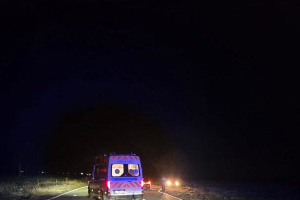 doi pietoni loviti de o masina in dolj o femeie a murit 6960063c4eed0