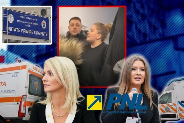 edited alina gorghiu pnl arges prefecta ioana facaleata trebuie sa demisioneze depunem cererea oficiala privind controlul invocat 6960da39e26fe