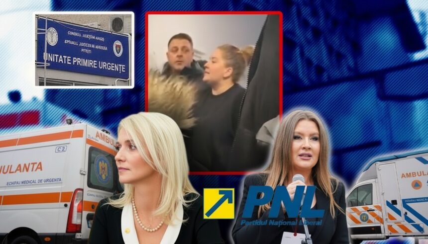 edited alina gorghiu pnl arges prefecta ioana facaleata trebuie sa demisioneze depunem cererea oficiala privind controlul invocat 6960da39e26fe