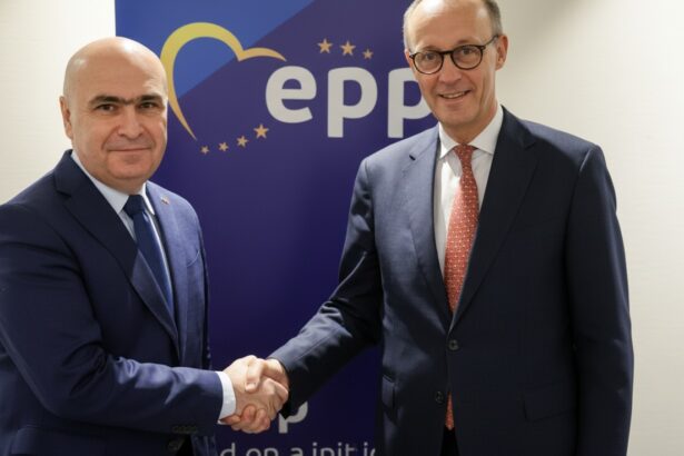 edited friedrich merz dupa intalnirea cu ilie bolojan germania si romania raspund ferm provocarilor hibrdide 697a2421d3566