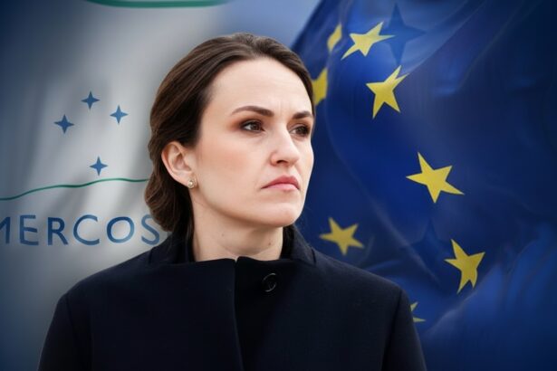 edited motiune simpla impotriva oanei toiu dupa acordul ue mercosur diplomatia progresista cu hashtaguri a pus agricultura romaniei in pericol 696254da87f6f