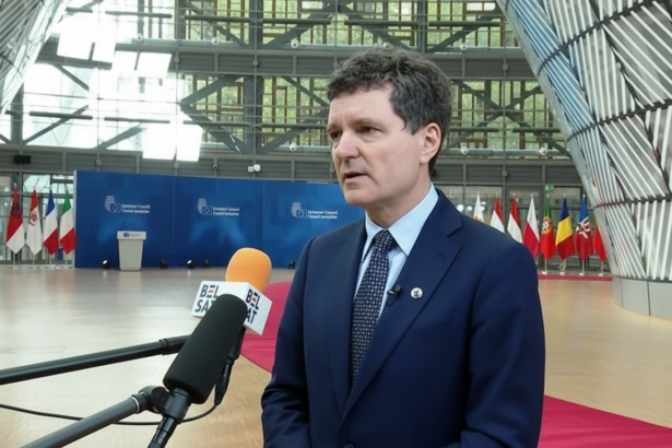 edited nicusor dan despre relatia transatlantica si groenlanda inaintea consiliului european romania sustine dialogul intre tarile nato 6972654fc1350