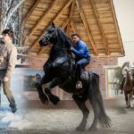 edited povestea incredibila a imblanzitorului de cai din parlamentul romaniei deputatul a mers calare 350 km pana la alba iulia 6963ba899fb36