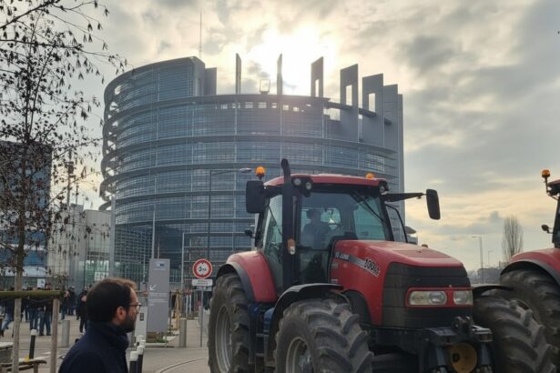 edited psd victorie in pe acordului mercosur va fi verificat de curtea de justitie a uniunii europene 6970c76c3c54c