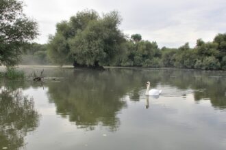 edited reducere de 50 la impozitul pe proprietate in delta dunarii si muntii apuseni guvernul a clarificat conditiile de aplicare amanare pentru ro e factura 697c8969d5e6a