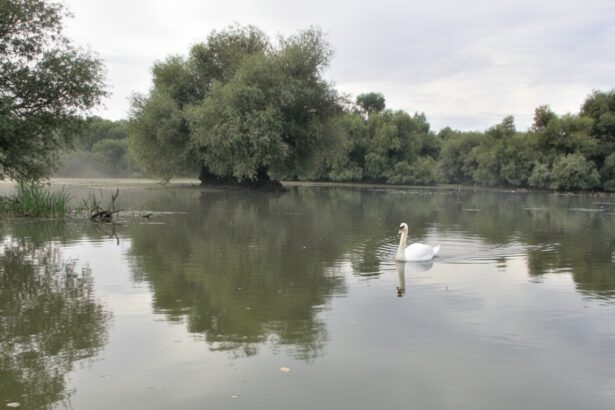 edited reducere de 50 la impozitul pe proprietate in delta dunarii si muntii apuseni guvernul a clarificat conditiile de aplicare amanare pentru ro e factura 697c8969d5e6a