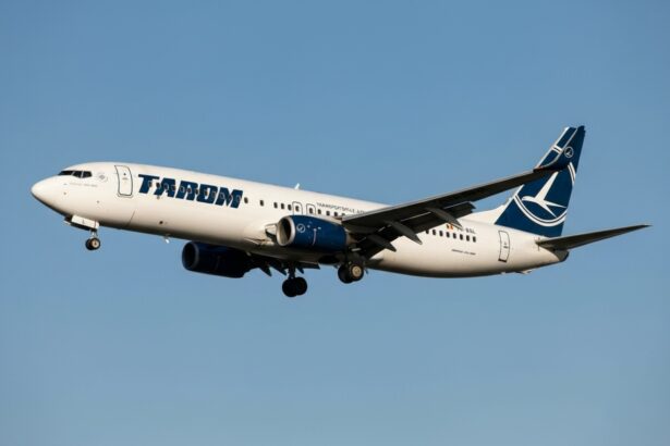 edited vicepremierul oana gheorghiu despre tarom intr o forma sau alta compania asta trebuie sa existe 6974c0e609de7