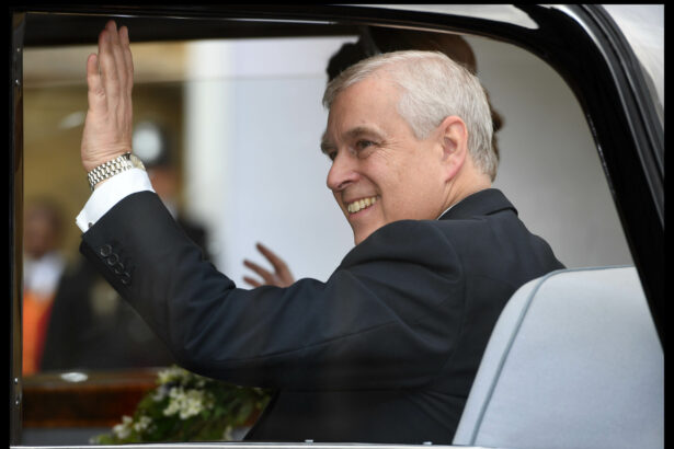 epstein i a oferit printului andrew o intalnire cu o femeie rusoaica arata e mailurile 697d9aba292ab