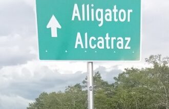 fosti detinuti vor depune marturie despre accesul la asistenta juridica in centrul de detentie alligator alcatraz 6979a14c71213