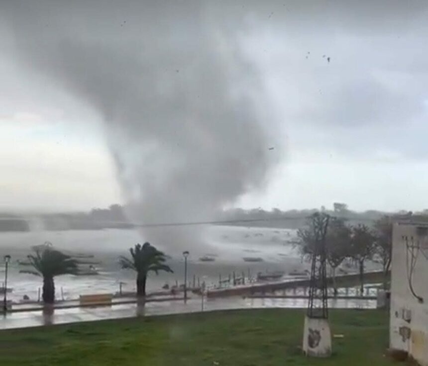 furtuna in portugalia ultimul bilant cinci morti si 450 000 de locuinte inca fara curent electric 697b45e063139