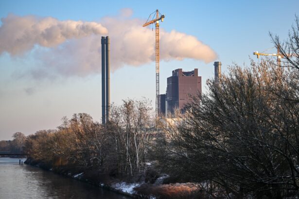 germania ofera un milion de euro pentru informatii despre atacul militantilor de extrema stanga asupra centralei electrice 6978a42c68bb2