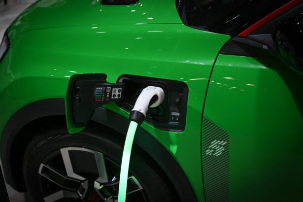 germania reia subventiile pentru masinile electrice pentru a stimula piata 696e66790f430