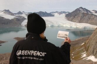 greenpeace romania diana buzoianu incalca legea si tradeaza interesul public major 697b59446257f