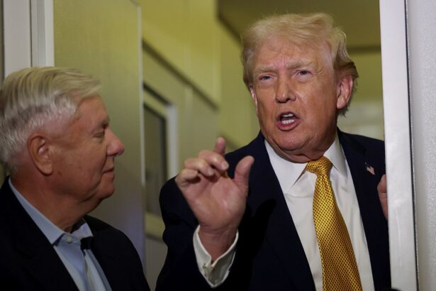 lindsey graham says trump backs russia sanctions bill 695fb2bf39a59