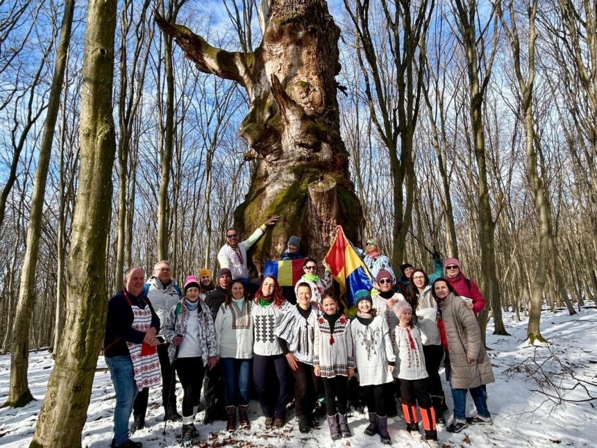 mica unire marcata prin hora unirii la un stejar vechi de 700 de ani in judetul sibiu 6974f1d475154