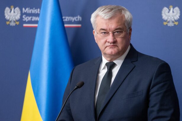 ministrul de externe apel pentru un ramstein energetic in fata crizei de incalzire din ucraina 6969d34ae77e0