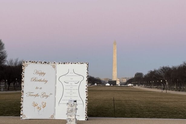 o replica uriasa a unui mesaj atribuit lui trump catre epstein apare pe national mall 696f411f52e69