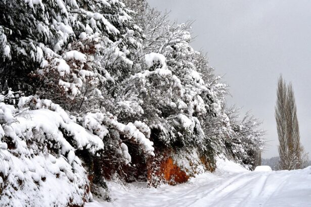 prognoza anm racire accentuata a vremii in bucuresti cu lapovita ninsoare si vant puternic 695f6de758067