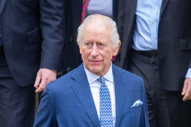 regele charles lauda ucraina un exemplu pentru intreaga lume 696afa9fd8029