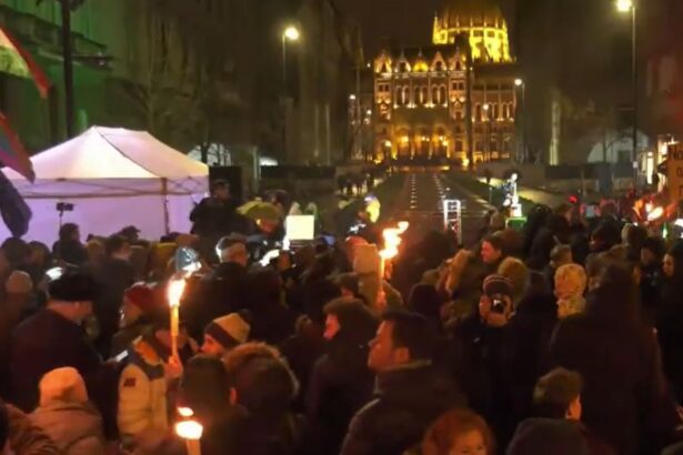 romii maghiari au protestat la budapesta cu steaguri si perii de toaleta dupa afirmatiile jignitoare ale unui ministru din cabinetul orban 697e77c9a2da3