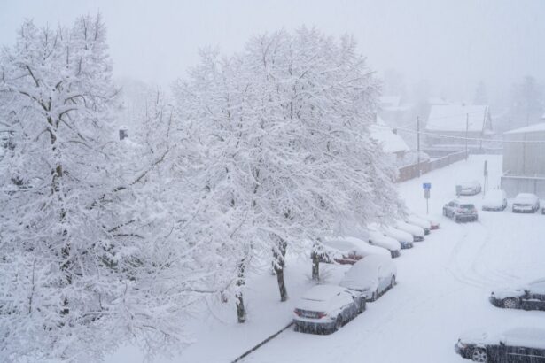 scaderi de peste 20c sub valorile obisnuite ale iernii intr o tara europeana 697b2403d3f40