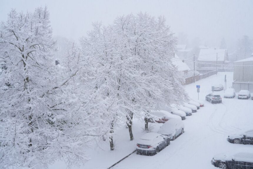 scaderi de peste 20c sub valorile obisnuite ale iernii intr o tara europeana 697b2403d3f40