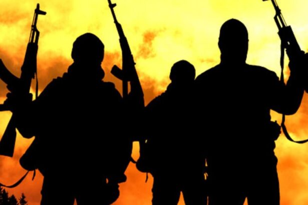 seceta pamanturi rare gaz contextul ecologic al marilor conflicte 696dde1739389