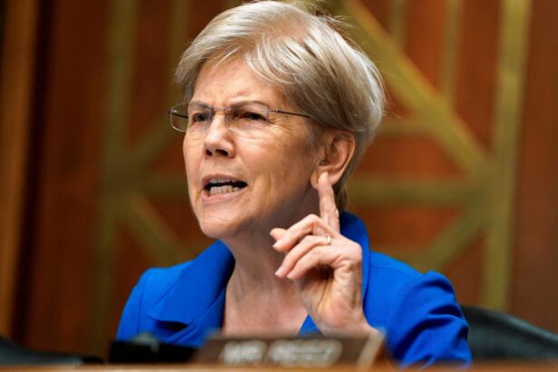 sen warren says trump called her to work on credit card interest rate caps 6967c3f02ddc6