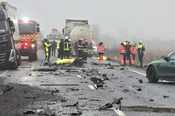 surse g4media soferul microbuzului ar fi avut droguri in sange marijuana energizante si vodca gasite in microbuzul implicat in accidentul din timis 697a1f2c8d2e2