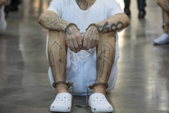 tara europeana care a reusit sa reduca violenta si crimele strategia nationala din care s ar putea inspira si romania 6977cdbf8521f