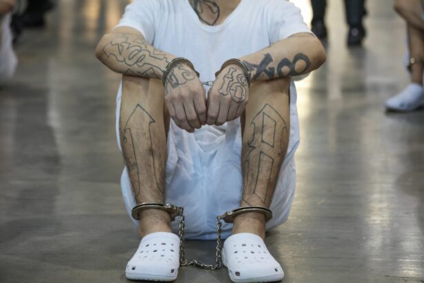 tara europeana care a reusit sa reduca violenta si crimele strategia nationala din care s ar putea inspira si romania 6977cdbf8521f