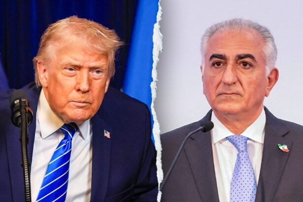 trump says exiled iranian prince seems very nice doubts whether he has backing to lead the country 6969231ae13c7