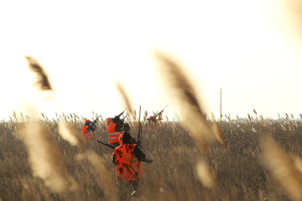 un barbat a fost impuscat la o partida de vanatoare in judetul buzau a fost transportat cu elicopterul smurd la un spital din capitala 697c78363e97e