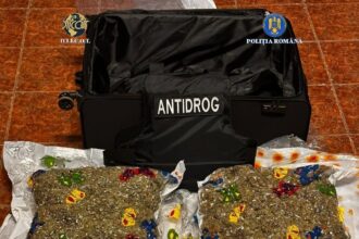 un olandez a fost prins cu 12 kilograme de droguri zombie 69749bd3c679f