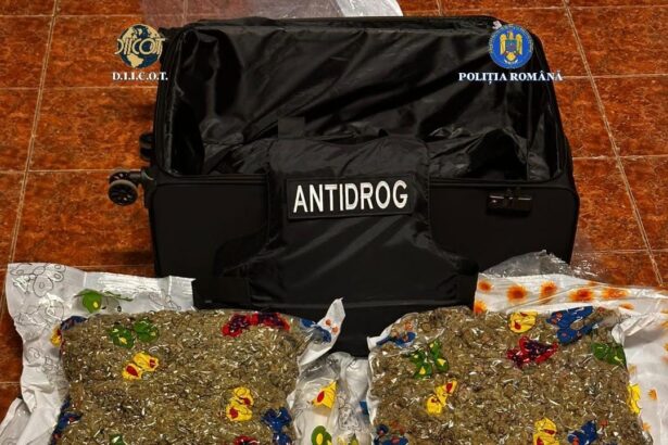 un olandez a fost prins cu 12 kilograme de droguri zombie 69749bd3c679f