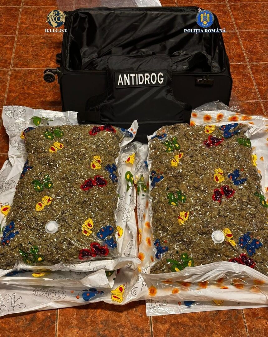 un olandez a fost prins cu 12 kilograme de droguri zombie 69749bd3c679f